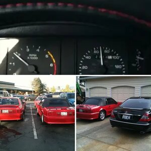 91 pony