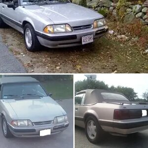 My stang