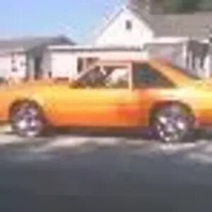 stang