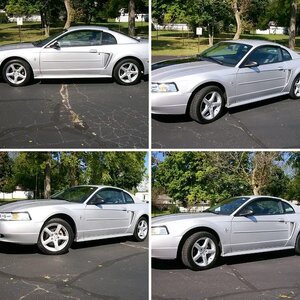 My Mustang (aka... My Lil' Pony!)