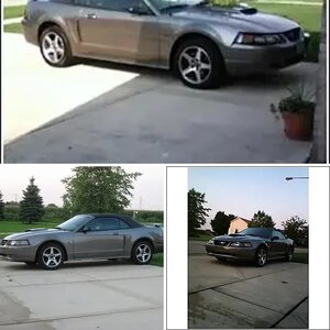 My stang