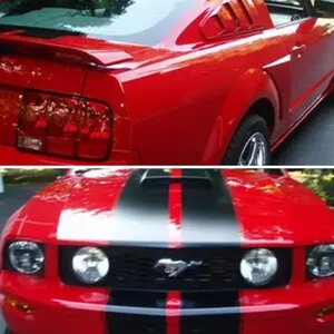 My Stang