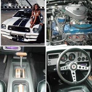Mike's 1977 Cobra II