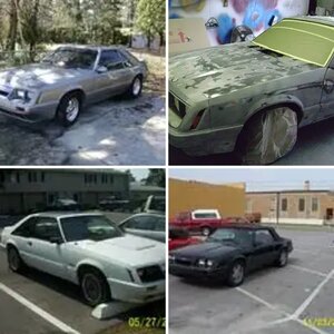 My Stangs I have or had