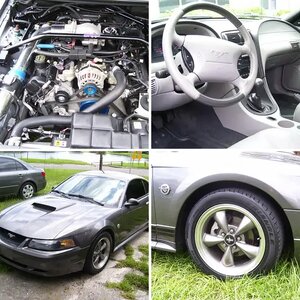 2004 GT