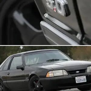 BLACK ROWDY50