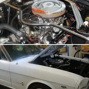 My 65