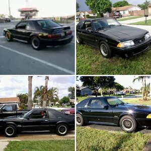 1989 mustang gt