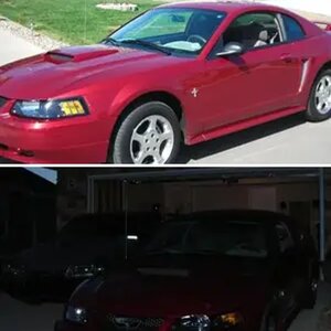 2003 Mustang