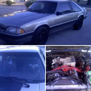 my stang