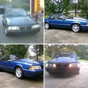 Mustangs