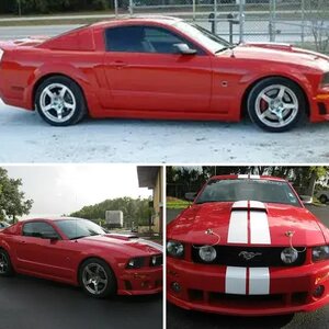 Mustang