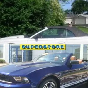 Mustangs