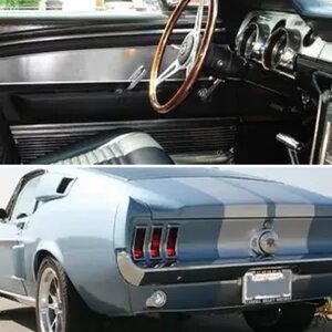 67 FSTBACK