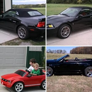 My 03 10th anniversary cobra vert