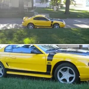 my stang