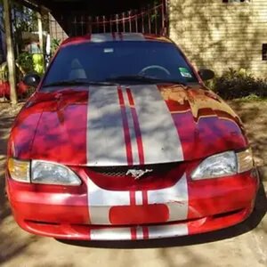 my 1996 mustang