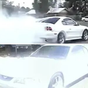 My Mustang