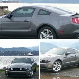 My wifes Stang!