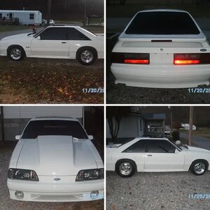 1988 stang gt