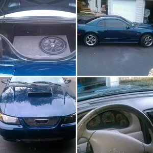 2002 true blue gt