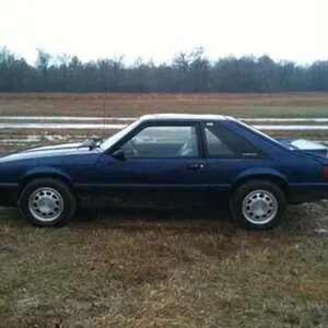 my mustang