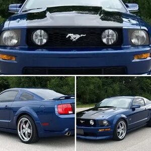 My Mustang