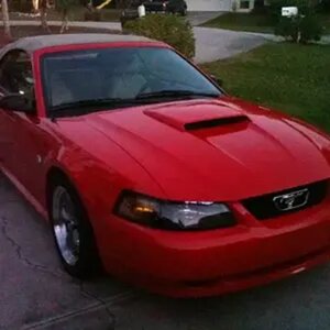 My Stang