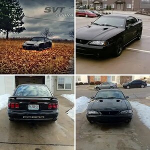 97 Cobra