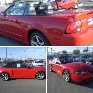 2003 Cobra