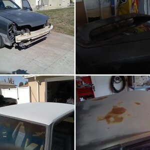 My mustang