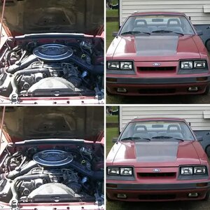 My stang