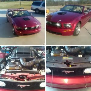 2005 Mustang Hood Pins