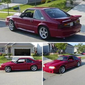 My Mustang