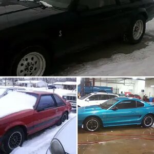 old mustangs
