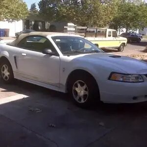 Elaine's Mustang