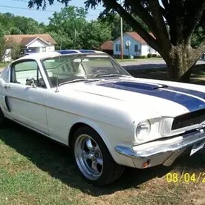 65 Shelby Rustang clone, the rust is real though.