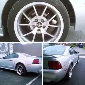 My Stang