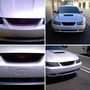 My 2002 Mustang GT and 2003 Cobra  SVT