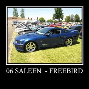 Samdy's Freebird