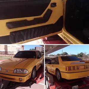 stang