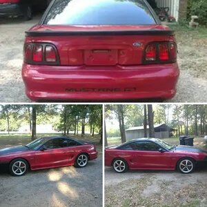 my first mustang