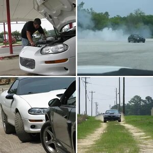 Ga cruise