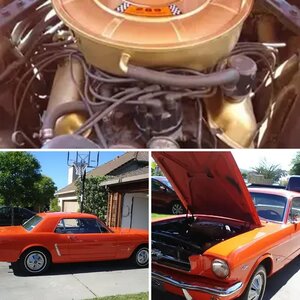1965 Mustang