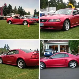 My Laser Red Mustang