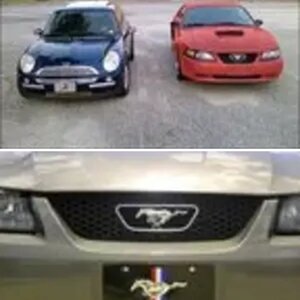 My Stang