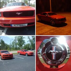 1st Mustang