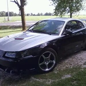 stang