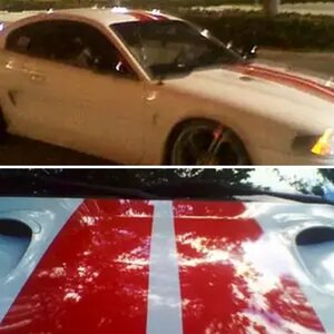 Diana's 96 Cobra 4.6