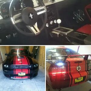 Some pics of the Steeda when I bought him!